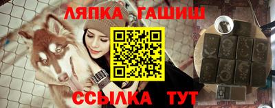 шишки Кандалакша